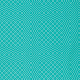 хлопок PWJD112-MINTX